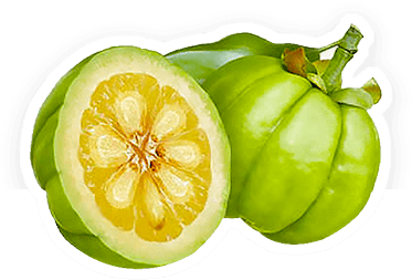 Garcinia Cambogia Actives